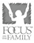 Focus family